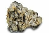 Calcite Crystals on Dolomite and Sparkling Pyrite - New York #251208-1